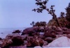 PANTAI PELABUHAN
